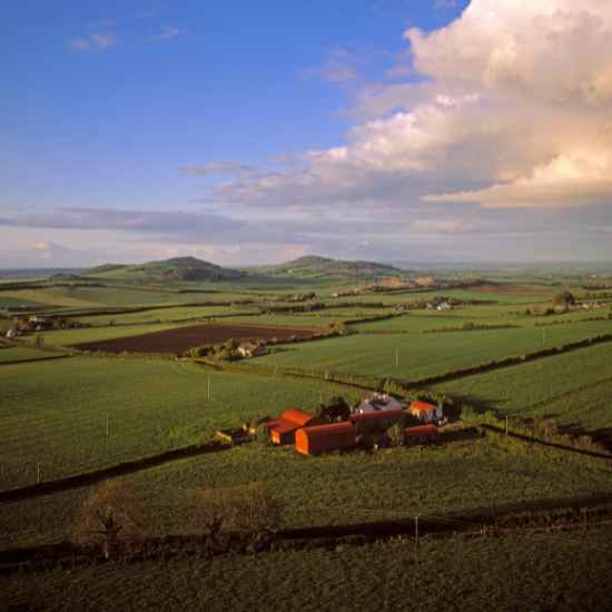 Laois