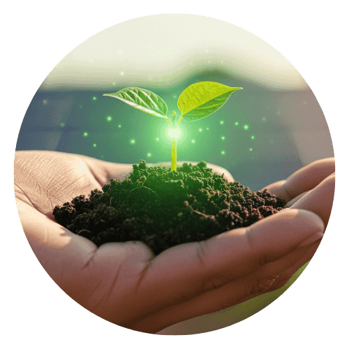 green credentials