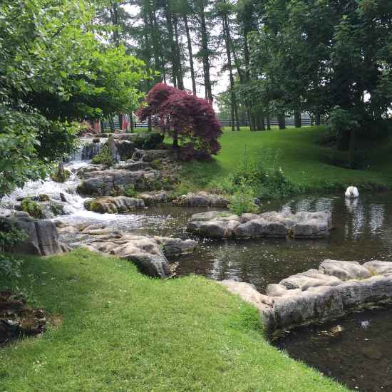kildare